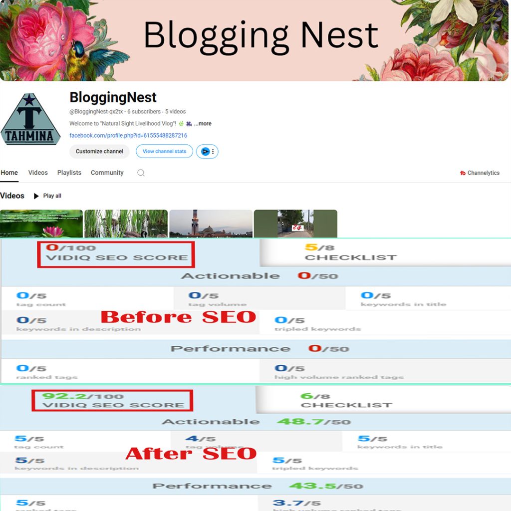 Youtube Video SEO reselt and customize