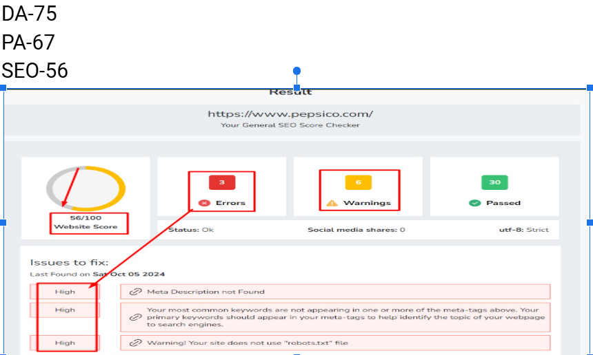 website analysis report