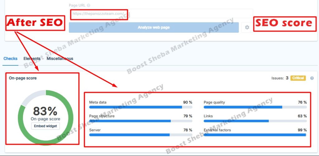 Website analysis report